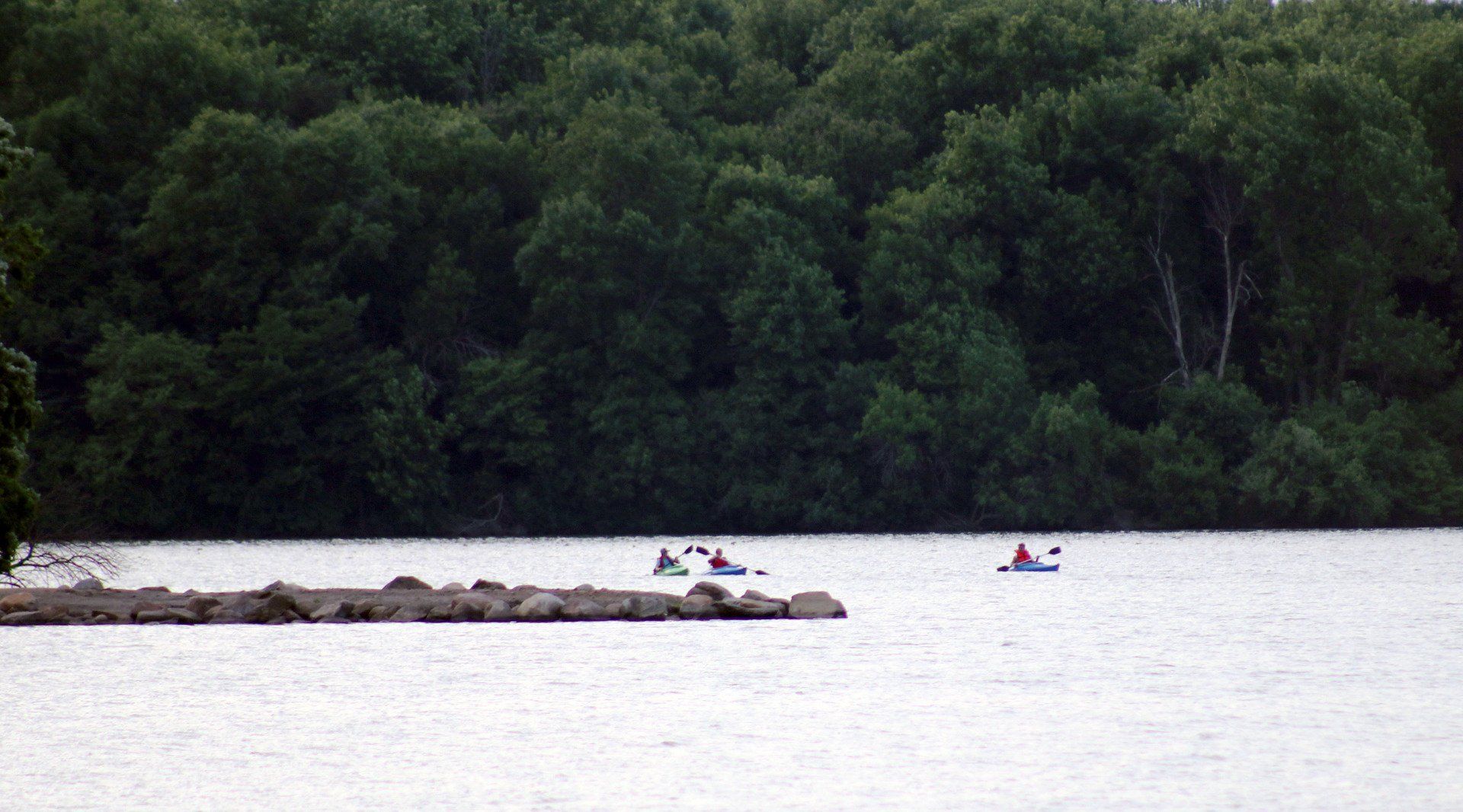 A group of people are kayaking on a lake with trees in the background.
