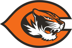 An orange and black logo with a tiger 's head in the middle.