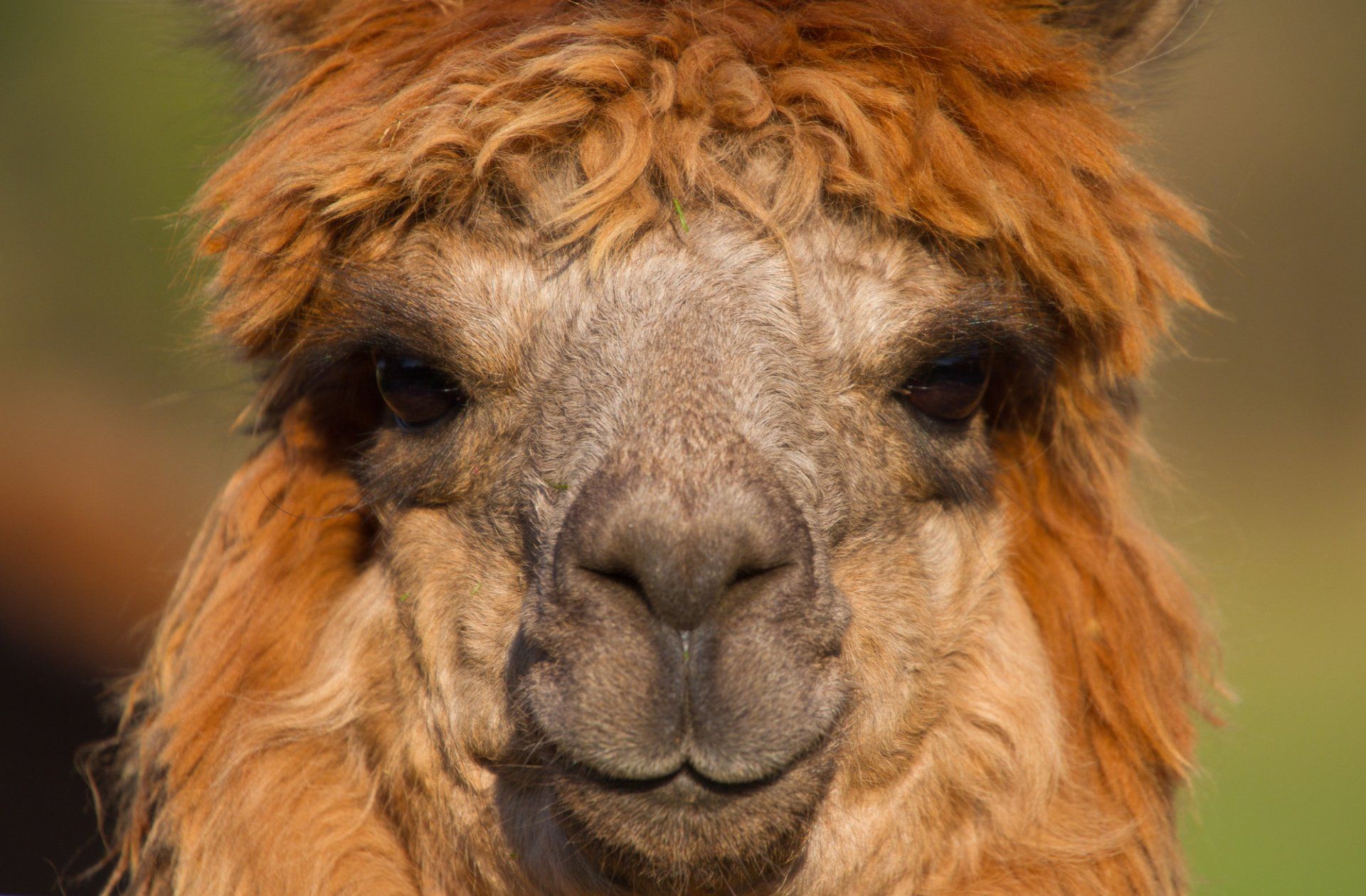 Wildlife Park Tours in Arlington, WA