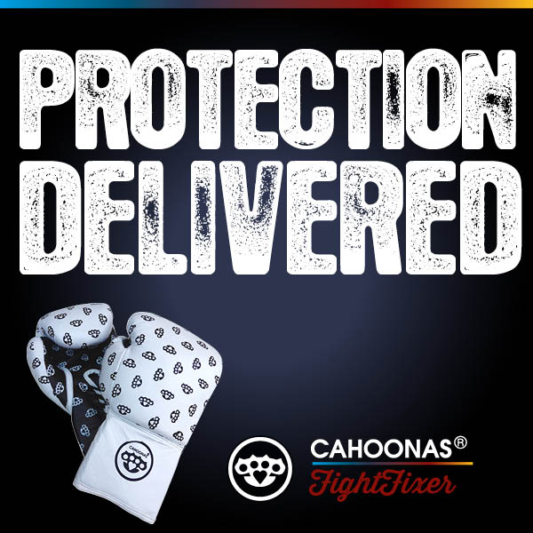 headline reads protection delivered. reference to a pair of boxing gloves in the picture.