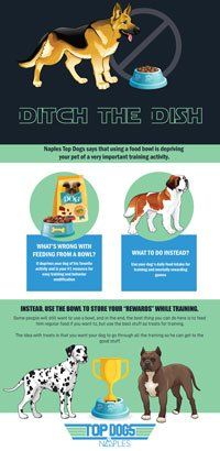 ditch the dish info-graphic thumbnail