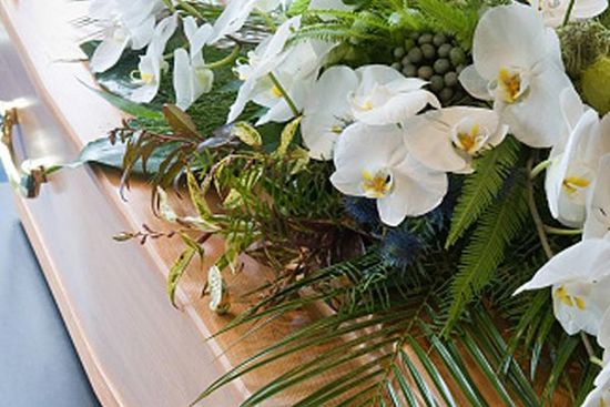 dei fiori bianchi su una bara