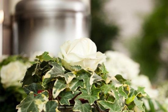 dei fiori bianchi con delle foglie