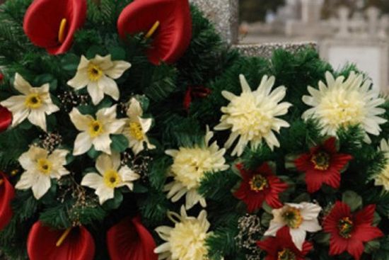 dei fiori bianchi e rossi e un pino