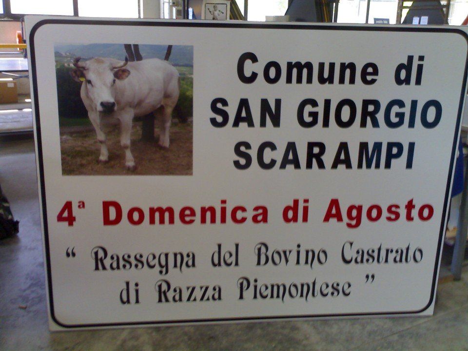 SEGNALE PUBBLICITARIO