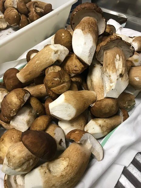 mushrooms