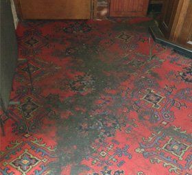 Carpet cleaning 1