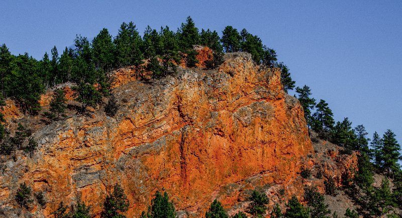A cliff with trees on it and a blue sky in the background.
