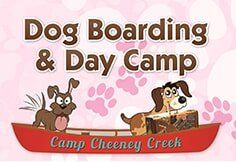 Dog Boarding & Day Camp Dog Boarding & Day Camp