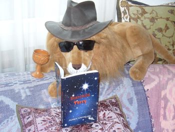 Bücherlöwe Roger Kappeler