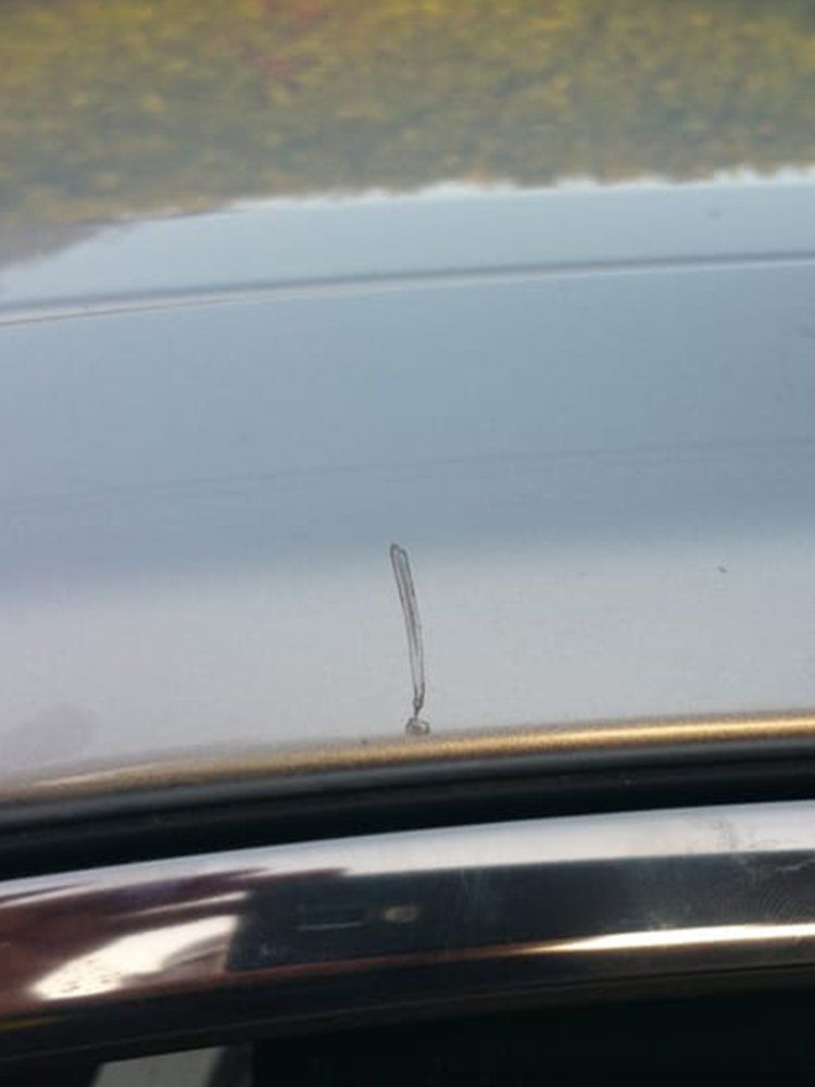 Dirty Car Roof — Norwalk, CA — Troy & Bobs Auto Works