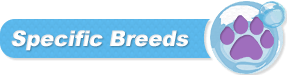 Paw Print Specific Breeds Button - Pet Grooming Paw Print Specific Breeds Button - Pet Grooming