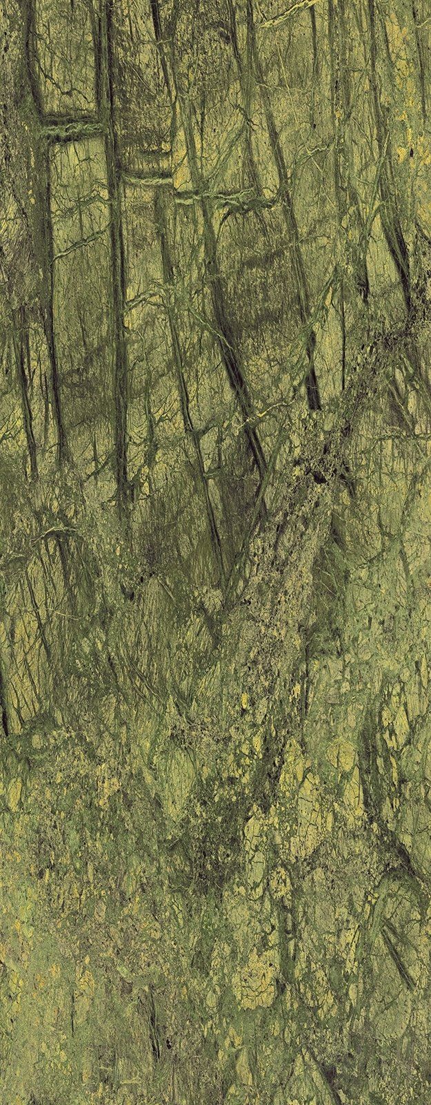 Abstract, vertical shot of a forest with light and dark green hues. The trees are tall with a grainy texture.