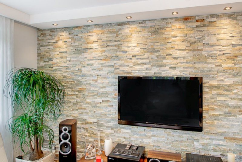 Stone accent wall with mounted TV, spotlights, speakers, and a large plant.