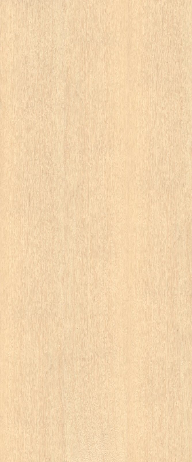 Beige textured background.