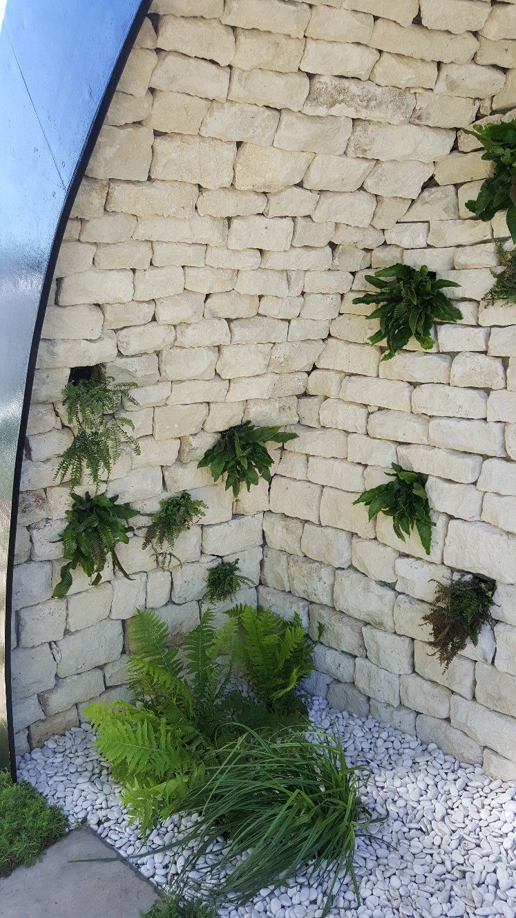 White stone wall with green plants growing in openings and at the base; a curved glass panel is on the left.