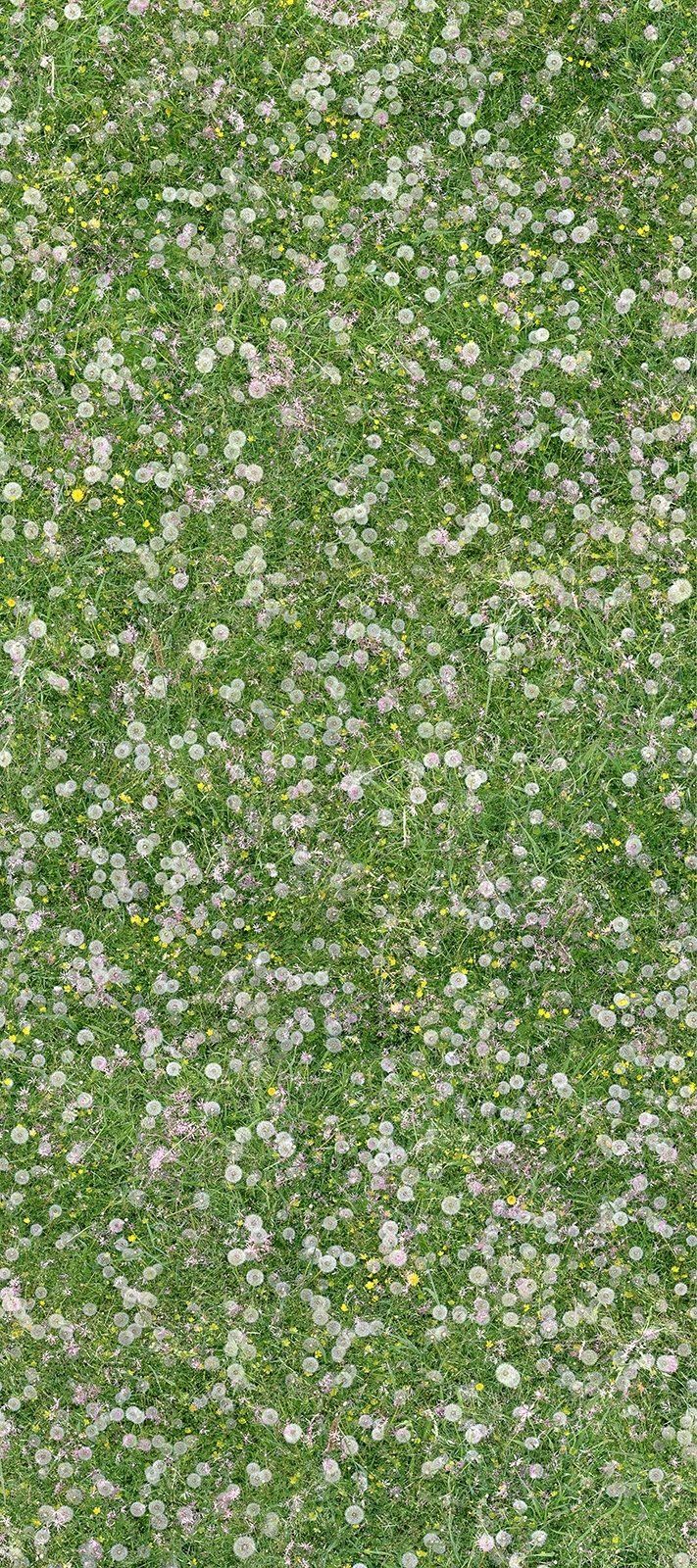 Green grass covered with many small white and yellow flower petals.