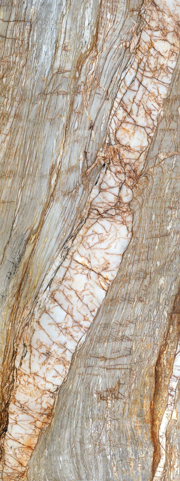 Close-up of a rock surface with a white, vein-like formation running diagonally through it.