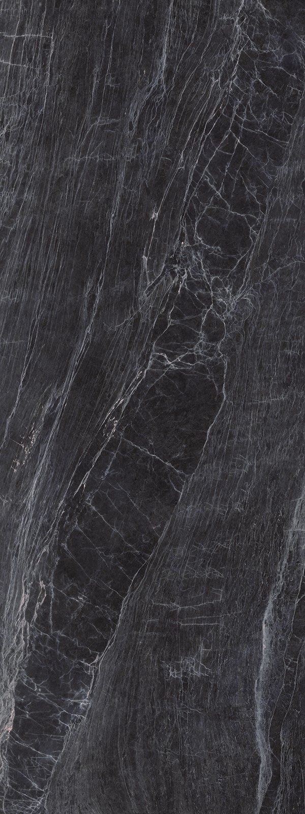 Dark gray stone with light gray veining.
