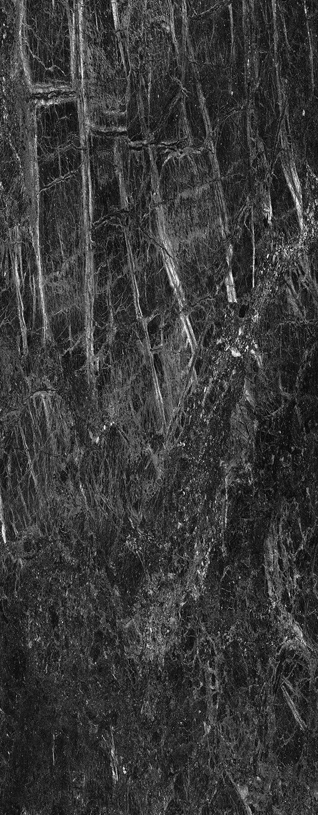 Black and white abstract with vertical lines and speckled texture, resembling a forest.