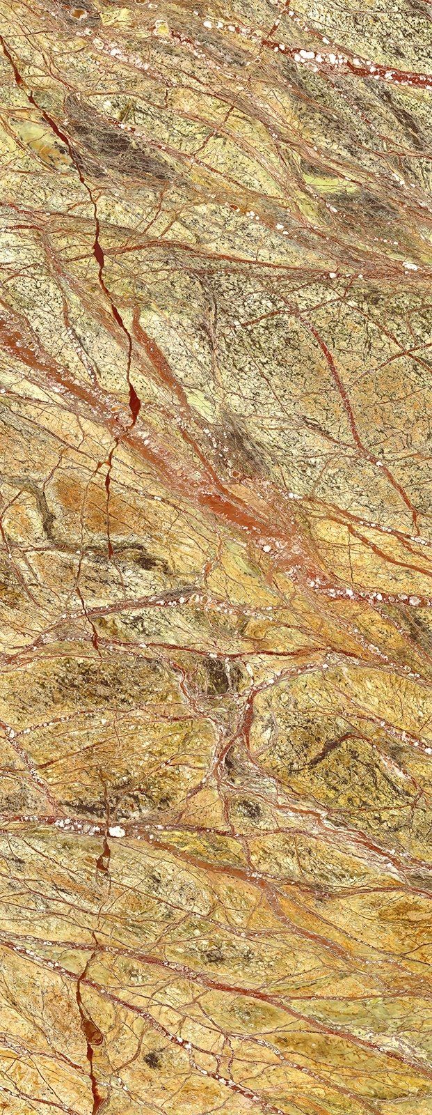 Close-up of a golden granite surface with reddish-brown veins running through it.
