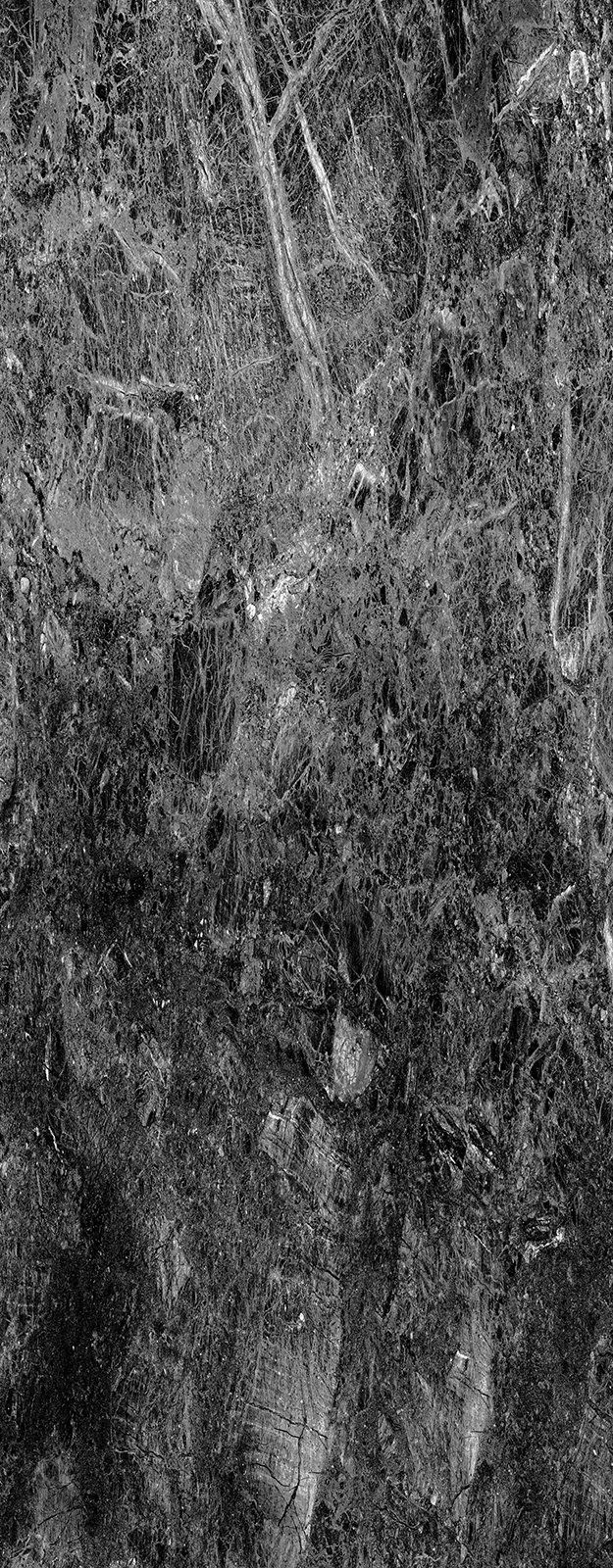 Grayscale shot of a dense, textured surface, possibly foliage. Vertical orientation.