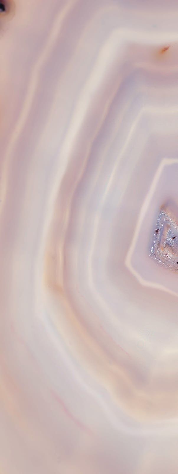 Abstract close-up of a stone surface with concentric layers of cream, beige, and light purple.