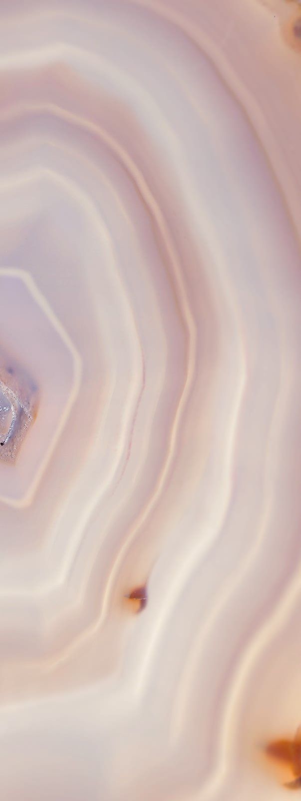 Close-up of a cut agate stone, showing concentric bands in shades of cream, tan, and light purple.