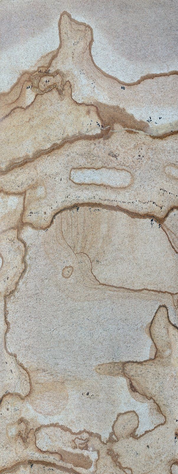Close-up of a stone surface with light beige color and brown, organic-shaped markings.