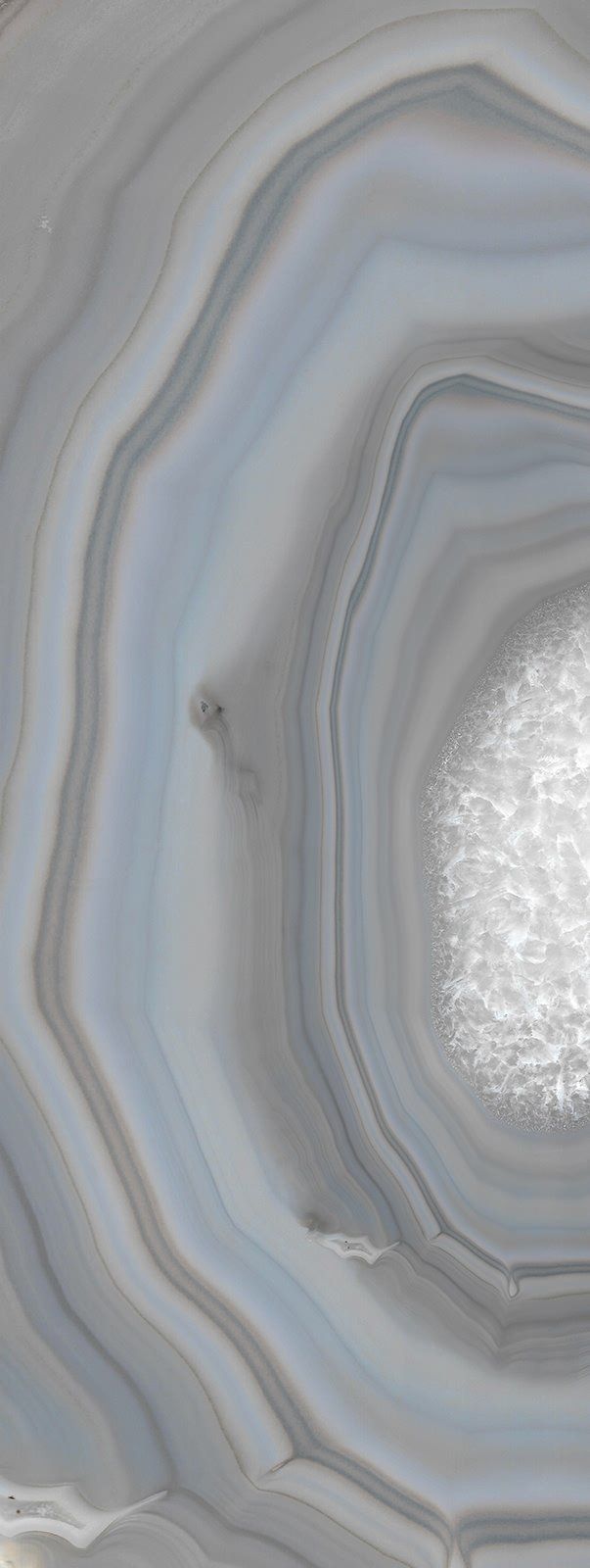 Close-up of a cut agate stone, with concentric rings of gray, blue, and white.