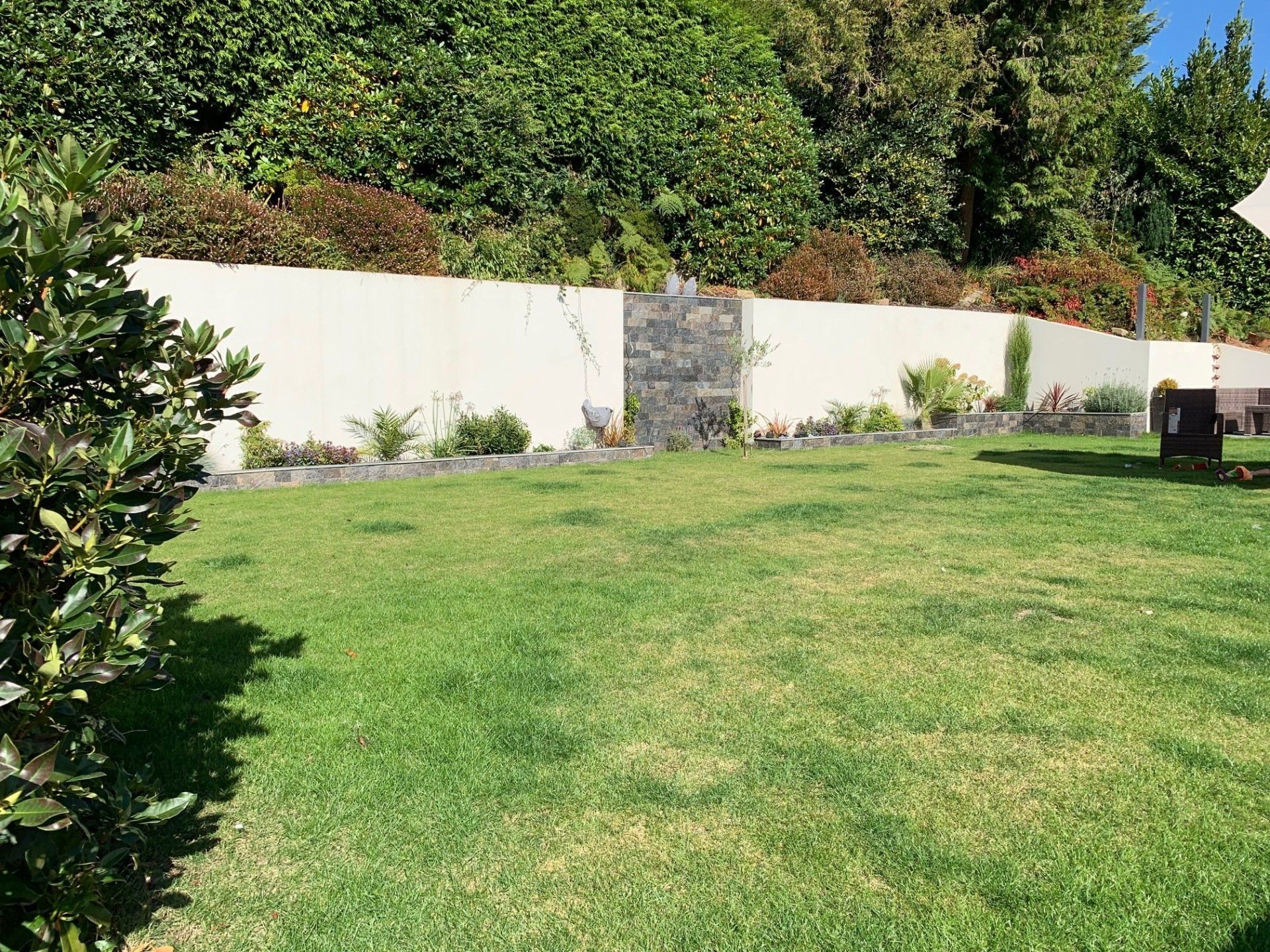 A green lawn in front of a white wall with landscaping, backed by lush green foliage.