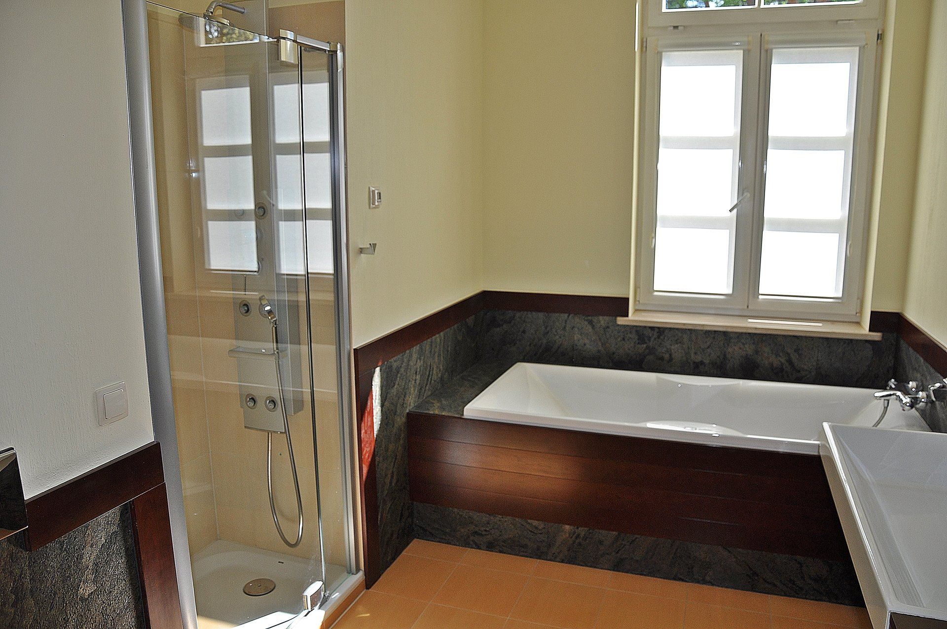 Bathroom with a shower, bathtub, and window. Light walls, dark wood accents, and white fixtures.