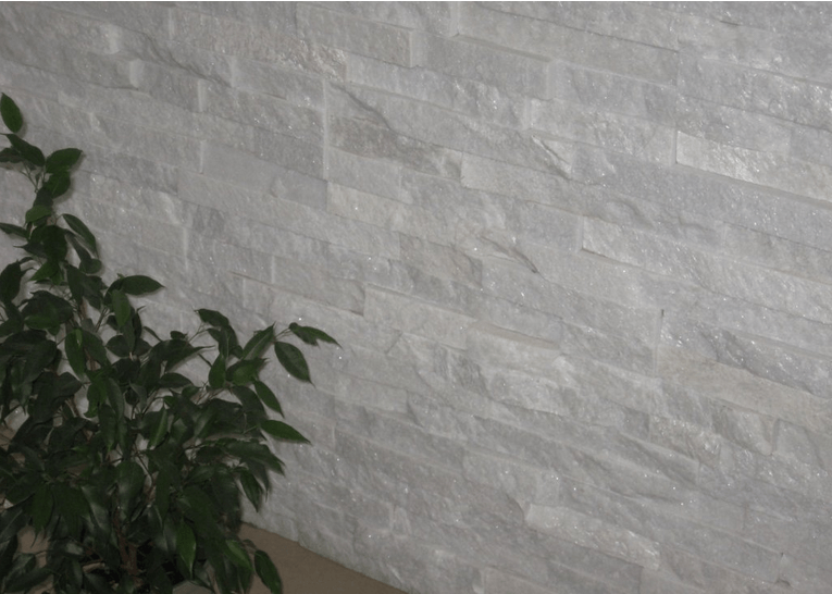 White stone wall with green leafy plant in the lower left corner.