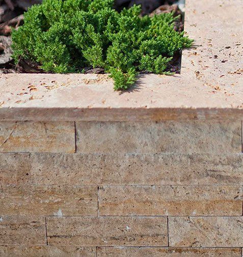 A low stone wall with a green bush on top. Wall is light brown, horizontally stacked.
