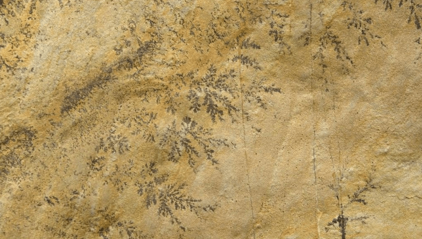 Tan rock surface with dark, fern-like dendrite patterns.