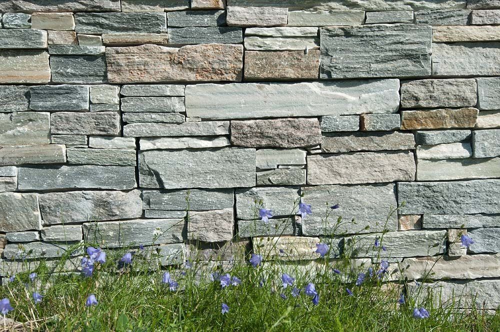 Stone wall with green and blue tones, grass and small blue flowers at the bottom.