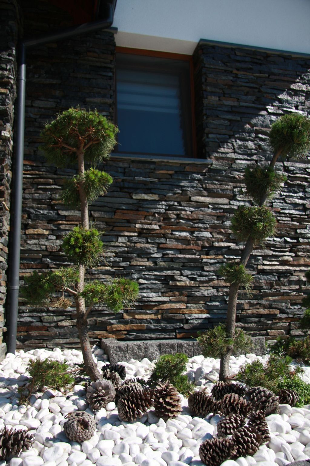 Two topiary trees and pine cones in a white rock garden next to a stone wall and window.