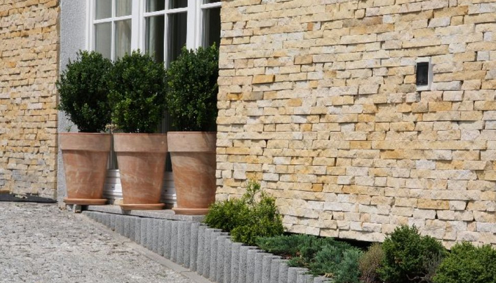 Three potted green shrubs sit in front of a building with a stone-like facade.