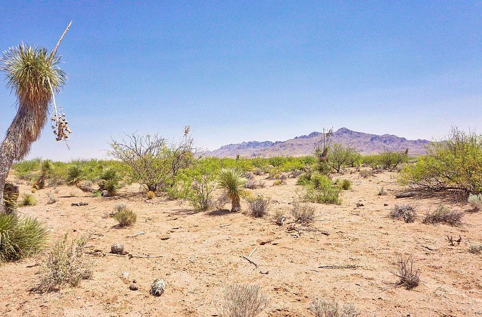 Denver Area Real Estate Photographer | Sacred Wind Real Estate Vacant Land Sales