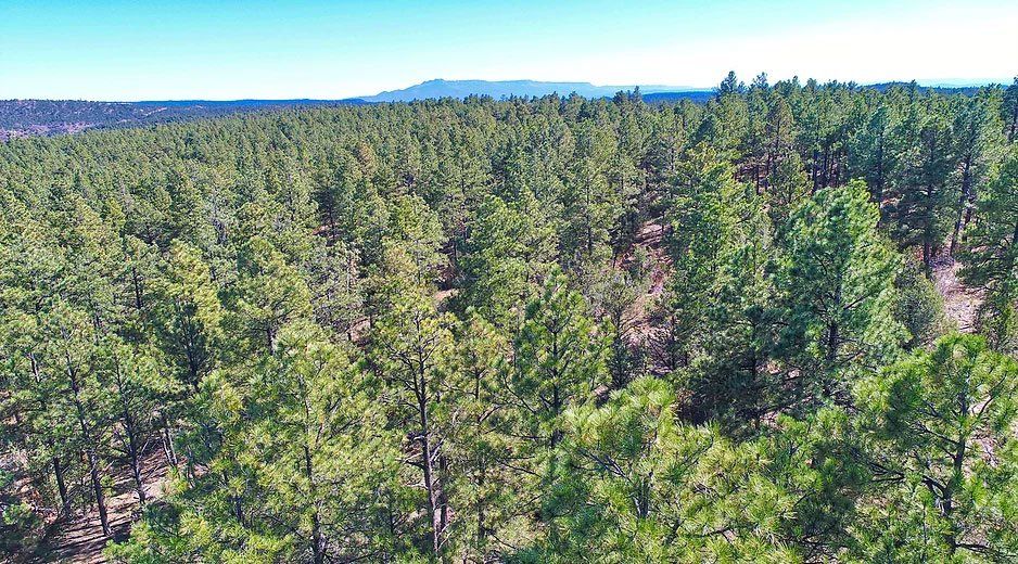 Denver Area Real Estate Photographer | Sacred Wind Real Estate Vacant Land Sales