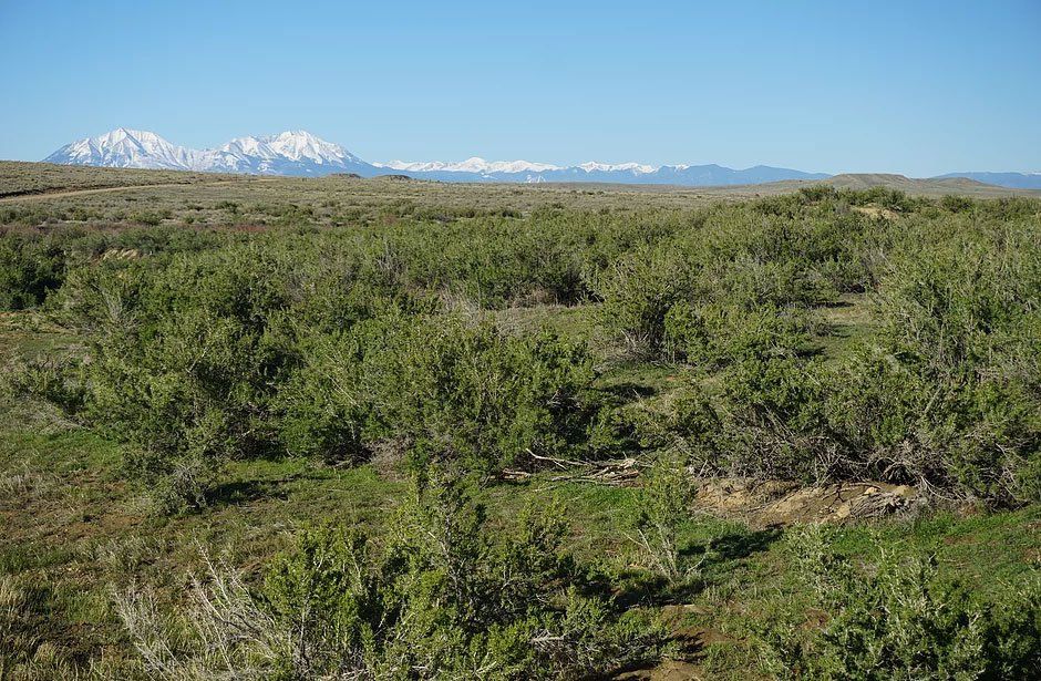 Denver Area Real Estate Photographer | Sacred Wind Real Estate Vacant Land Sales