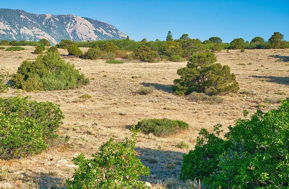 Denver Area Real Estate Photographer | Sacred Wind Real Estate Vacant Land Sales