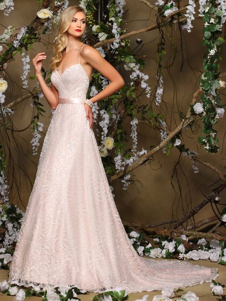 Wedding liquidator