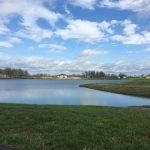 Dowd Contracting  Gallery Image 232