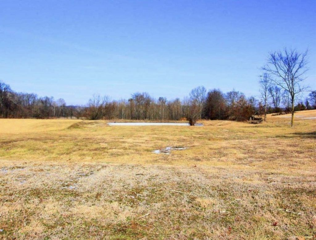 Indian Creek Road 1