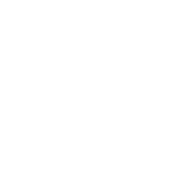 car brakes icon