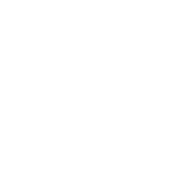 tyre icon
