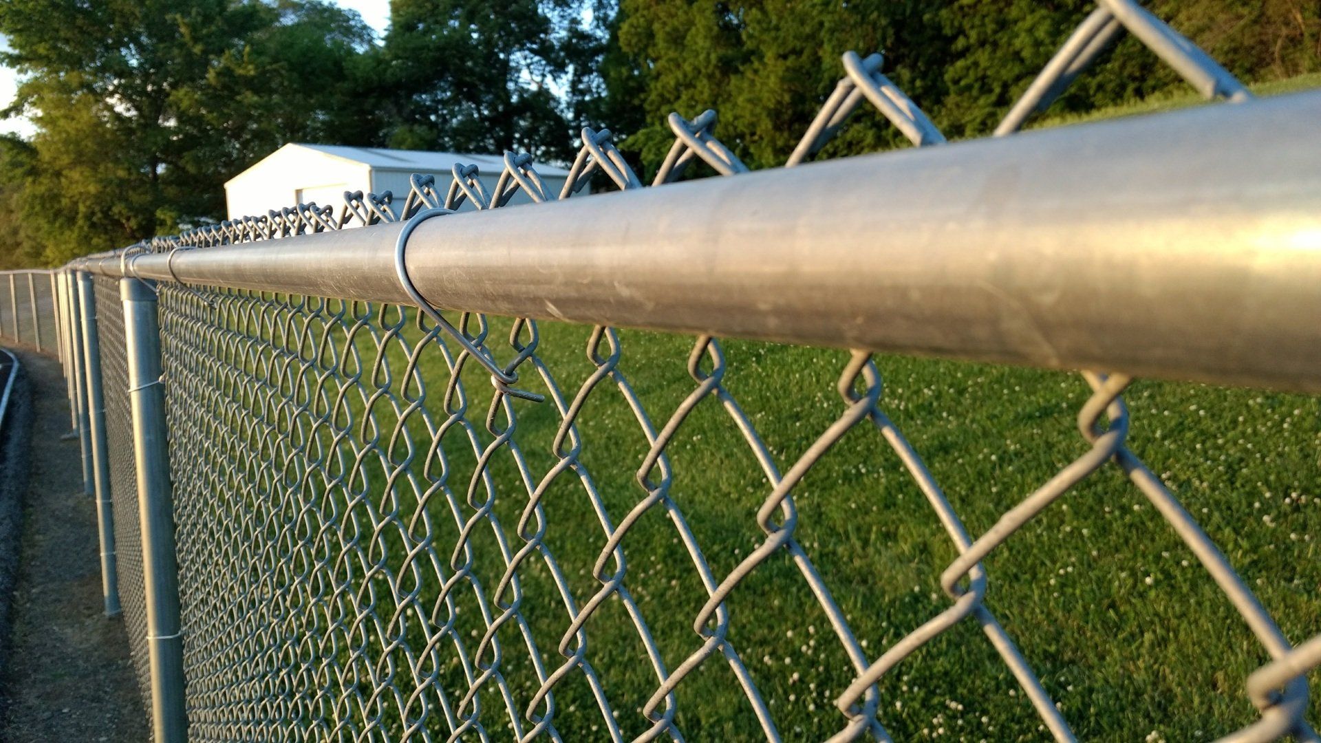 A chain link fence is surrounded by grass and trees.