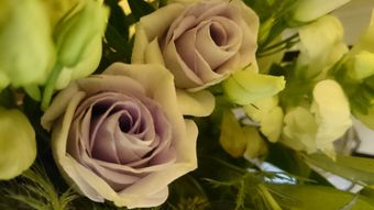 artificial flowers with a rare colour combination