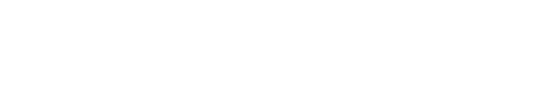 Noord Brabant Logo